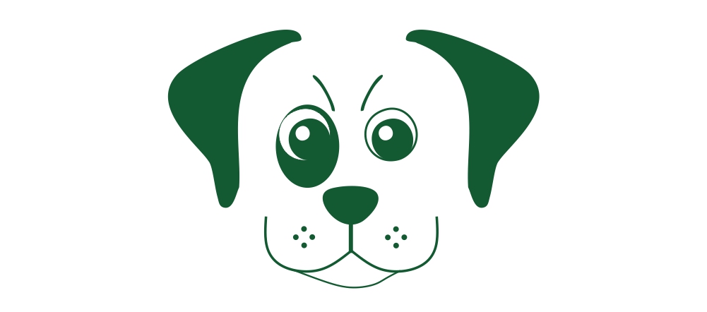 ALIMENTOS PARA PERROS