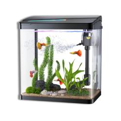 Acuario Led  Completo 18lt